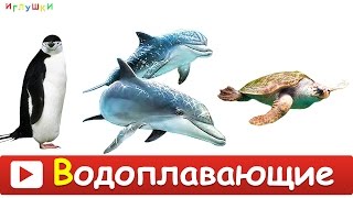 [ МОРСКИЕ ЖИВОТНЫЕ для ДЕТЕЙ ] с ГОЛОСАМИ. Развивающие ВИДЕО про морских животных для детей в HD