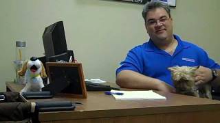 PetMeds Employee Profile:  Meet Our Donations Coordinator
