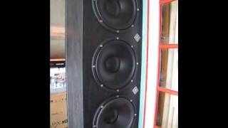 Eight x 15" Infinite Baffle Subwoofer: Bassotronics.