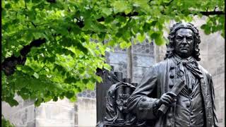 J.S. Bach Violin Concertos, I Musici