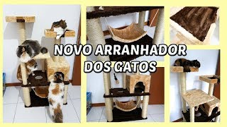Novo ARRANHADOR para gatos - Gatil Hauser