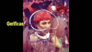The dancing chldren of Papua New Guinea