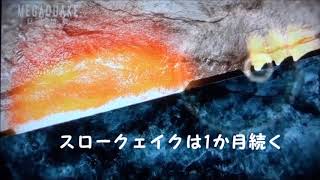 地震は予知できたースロークェイクその４（東日本大震災のケース）
