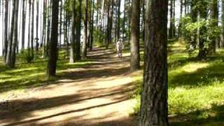 ,,Rowerem Po Lesie" czyli Bory Tucholskie 2009