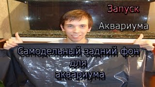 Самодельный Задний фон для аквариума. Запуск аквариума Часть 2