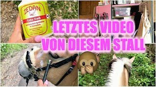 LETZTES STALL UND PFERDE AUSREITVIDEO VON DIESEM STALL