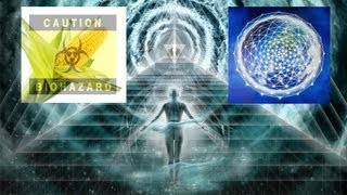 Fast Food, the Higher Self and Anchoring the Light ( The justBernard Show TV)