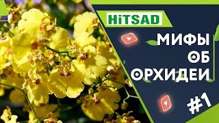 Ошибки При Выращивание Орхидеи ? Мифы и Заблуждения Об Орхидеях ? Часть 1