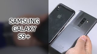 Сравнение Samsung Galaxy S9+ и Apple iPhone X
