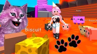 СЕМЬ ПИТОМЦЕВ И НОВАЯ АНИМАЦИЯ В СИМУЛЯТОРЕ ПИТОМЦЕВ В РОБЛОКС roblox Pet Simulator