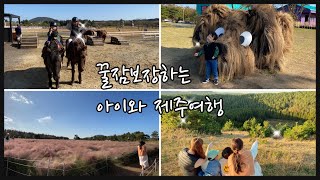 아이랑제주여행 | 승마체험부터 핑크뮬리 가득한 카페글랜코 | 아부오름까지 오늘밤 꿀잠예약이요
