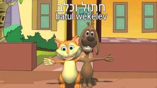 DinoLingo набор "Иврит  для детей" - Дети учат Иврит  язык