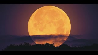 Beyond The Dark Side of The Moon Full / Myth or reality?