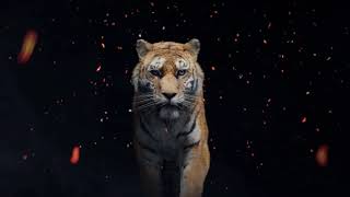Tiger - Blender 2.8 Eevee development test