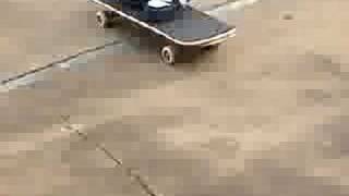The Tiniest Ollie In The World