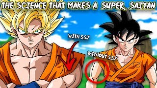 is Super Saiyan Real? With Science – Dragon Ball Super