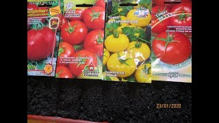 КАК ВЫБРАТЬ ТОМАТЫ ДЛЯ ГРЯДКИ - ЛЕНИВКИ? Ольга Чернова.