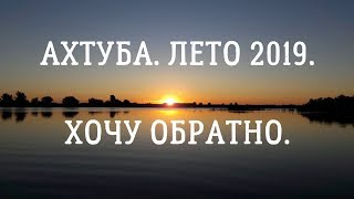 ? АХТУБА. ЛЕТО 2019. ХОЧУ ОБРАТНО.