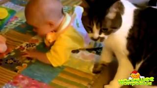 Лучшая подборка Кошки и Дети!  Funny Videos Cats and Kids! [Канал хорошего настроения]