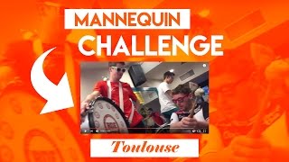 IAE Toulouse - Mannequin challenge [Concours]