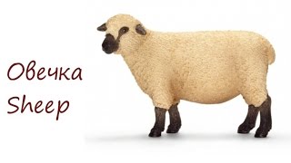 Овечка, як намалювати вівцю, #draw, малюємо вівцю олівцем