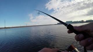 Тест SHIMANO EXSENCE S900MH/R "Wild Contact
