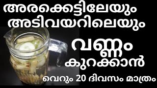 അരക്കെട്ടിലെയും അടിവയറിലെയും കൊഴുപ്പ് കളഞ്ഞു ആലില വയർ സ്വന്തമാക്കാം|weight lose journey 9,10,11,12|