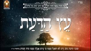 עץ הדעת- שיעור תורה בספר הזהר הקדוש מפי הרב יצחק כהן שליט"א