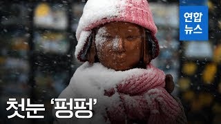 서울에 첫눈 '펑펑'…최종 8.8cm 쌓여 / 연합뉴스 (Yonhapnews)