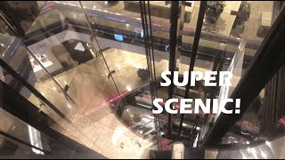 Beautiful Otis Scenic Traction Mall Elevators - Water Tower Place in Chicago, IL