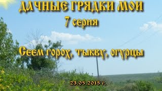САМАРА. Дачные грядки мои. 7 серия. Посадка гороха, тыквы, огурцов. 23-24.05.2015 г.