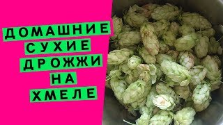 Сухие дрожжи на хмеле: домашние, своими руками (пошаговый рецепт)