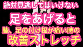 【豊中市　股関節痛】足を上げると股関節、膝が痛くなる時はまずやるべきストレッチ