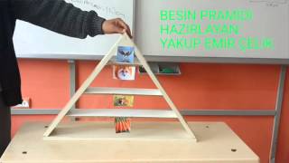 Besin Pramidi ve Periskop Yapımı Projeleri