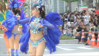 神戸まつり２０１８　SAMBA CARNIVAL (サンバカーニバル)