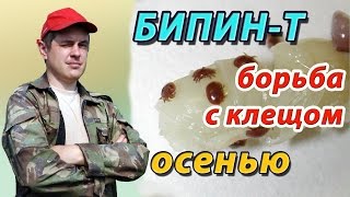 Осенняя обработка пчёл от варроатоза препаратом Бипин Т на своей пасеке. Борьба с клещом Варроа