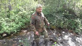 Minelab Equinox 800 поиск золотых самородков