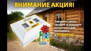 №36 Инкубатор автоматический Инверторный Теплуша Люкс 72 ИБ 220/50 ЛА(В)