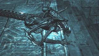 Недороботка в игре Aliens vs. Predator 2010 Компания за Чужого