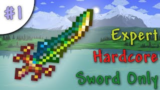 Terraria Expert Hardcore Sword Only Challenge #1