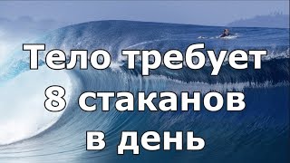 Здоровые почки зимой. Короткие лекции Ван Юймэй.