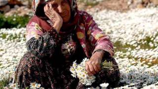 Sabahat Akkiraz - Garip Anam