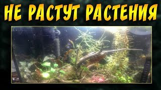 СОВЕТЫ И ОШИБКИ НАЧИНАЮЩИХ АКВАРИУМИСТОВ! НЕ РАСТУТ РАСТЕНИЯ В АКВАРИУМЕ!