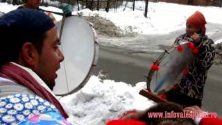 Jocul Ursului -- obicei de Anul Nou