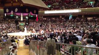 大相撲５月場所 初日 ６人用枡席（花道の真上）からの眺め 【力士入場 １】