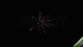 575 292 000   Bombe 75mm palme or scintillant blanc