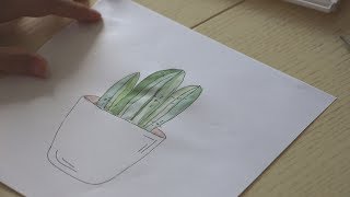 Как нарисовать кактус?// Рисуем кактусы ?