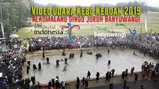 Video Udara Keboan Alasmalang Singojuruh Banyuwangi 15 September 2019 - Drone DJI Mavic Pro