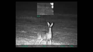 Yukon Sightline N470 Digital Night Vision Riflescope