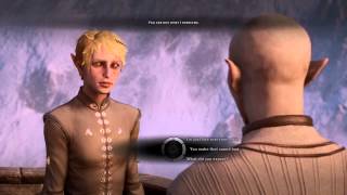 Dragon Age Inquisition: Solas approves (Male elf inquisitor)